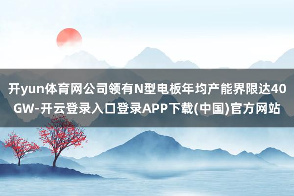 开yun体育网公司领有N型电板年均产能界限达40GW-开云登录入口登录APP下载(中国)官方网站
