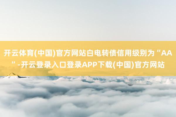 开云体育(中国)官方网站白电转债信用级别为“AA”-开云登录入口登录APP下载(中国)官方网站