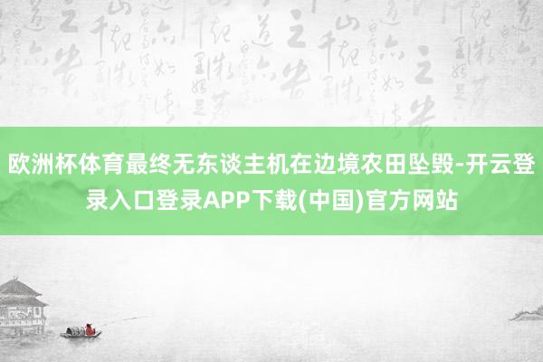 欧洲杯体育最终无东谈主机在边境农田坠毁-开云登录入口登录APP下载(中国)官方网站