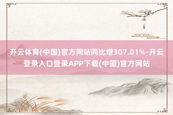 开云体育(中国)官方网站同比增307.01%-开云登录入口登录APP下载(中国)官方网站